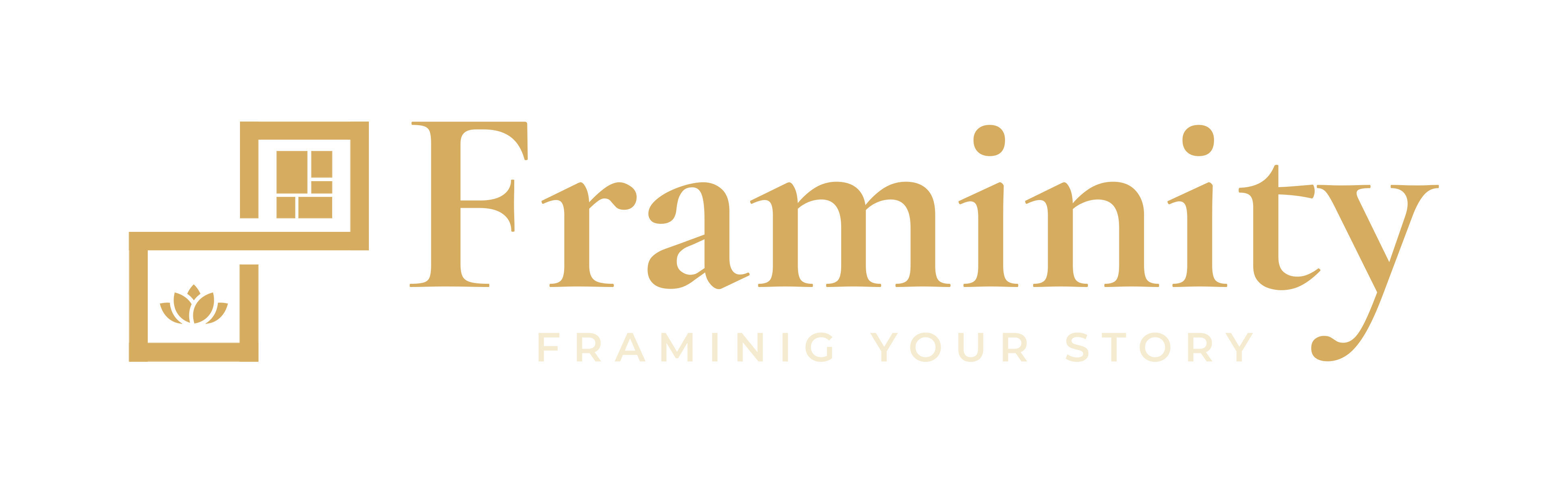 FRAMINITY Logo